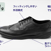 AULIGA [ALG006] WING TIP Ver.2（BLACK）