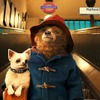 『パディントン』　-（C） 2014 STUDIOCANAL S.A.  TF1 FILMS PRODUCTION S.A.S Paddington Bear (TM),Paddington(TM) AND PB(TM) are trademarks of Paddington and Company Limited