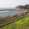 山口・惣郷にて。線路は山陰本線。この付近には鉄道写真ファンの間で有名な惣郷川橋梁がある。