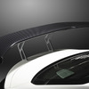 GT Wing Carbon Hi