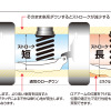 BLITZからリアサスペンションの性能を最大限に生かす「MIRACLE STROKE ADJUSTER」のカローラクロス用が新発売