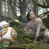 BB-8＆レイ／『スター・ウォーズ／フォースの覚醒』- (C) 2015Lucasfilm-Ltd.-&-TM