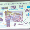 HMIシステムズ事業部は、”視覚・聴覚・触覚”で人と車が繋がる商品を展開している