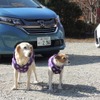 左が2代目自称自動車評論犬!?のマリア、右がララ