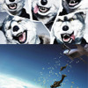 『X-ミッション』のイメージソングを手がける「MAN WITH A MISSION」（C）2015WARNER BROS.ENTERTAINMENT INC.