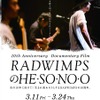 『RADWIMPSのHESONOO Documentary Film』（C)2016“HESONOO”FILM PARTNERS