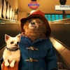 『パディントン』　-（C） 2014 STUDIOCANAL S.A. TF1 FILMS PRODUCTION S.A.S Paddington Bear (TM),Paddington(TM) AND PB(TM) are trademarks of Paddington and Company Limited