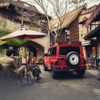 DAMD JIMNY SIERRA『little Δ.』