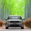 光岡自動車の創業55周年記念車「M55 Zero Edition」