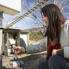 外部給電のある場所では接続することで車内の快適性が大幅にアップする