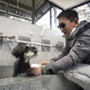 スプラッシュパーク秩父にはキャンプ施設や温泉だけではなくドッグランや犬用温泉まで完備している