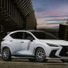 RAYS HOMURA 2x9Plus JET BLACK EDITION IV × LEXUS NX