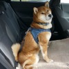 スバル インプレッサ ST・FWD