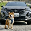 プジョー 2008 GT BlueHDi