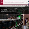 早稲田大学