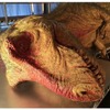 「世界初！ティラノサウルス大解剖・恐竜大発見展」