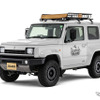 DAMD JIMNY SIERRA saudade