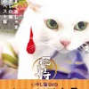 「猫侍 いやし猫DVD まるっと玉之丞」ジャケットー(C)2016「猫侍SP」製作委員会