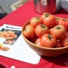 今年の春のメニューの主役は「ぶすっこトマト」艶といい酸味甘さといい、バランスの良いトマトは幅広い料理の中で存在感を分ける役者だ。
