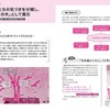 色水遊びを通して、子どもたちが気づいたことをにまとめ「気づきの木」として展示