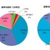 大学生の留学傾向（留学白書2016 留学ジャーナル調べ）
