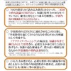 ゆとり・詰め込みの対立に終止符、学習量は削減せず…新要領方針を公開 画像