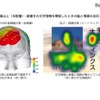 年配層：縦書きの文字情報を閲覧した時の脳と視線の反応