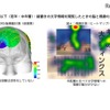 若年・中年層：縦書きの文字情報を閲覧した時の脳と視線の反応