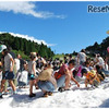「真夏の雪まつり」開催時のようす