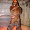 (C) Disney (C) Disney/Lucasfilm Ltd. (C) & TM Lucasfilm Ltd.