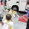 「東京キャンピングカーショー」が7月開催…過去最多の約160台を展示