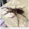 インスタグラムより