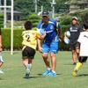 2015年のようす