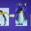 ペンギンもプレミアムに