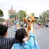 七夕グリーティング／東京ディズニーランド