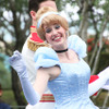 七夕グリーティング／東京ディズニーランド