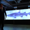 「ちょっと魚の写真を出してください」　大久保氏の呼びかけに応じ、スクリーンに実物大のサメの遊泳する姿が表示された（ICT・IoTを活用した教育環境例のデモンストレーション）