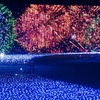 東京ミッドタウンで7月15日（金）から8月28日（日）まで「MIDTOWN ◇ SUMMER 2016」（ミッドタウン ◇ ラブズ サマー ※◇はハートマーク）開催！