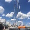 「海洋アドベンチャー タラ号の大冒険」