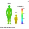 60分間路上を歩行後の体表面温度（成人男性と幼児）