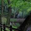 養老の滝までの遊歩道は森林浴的気持ちよさだった。