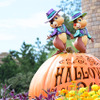 「ディズニー・ハロウィーン」