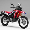 CRF250 RALLY