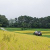 八ヶ岳の裾野の田園地帯を走る。