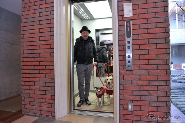 エレベーター付きでシニア犬も安心