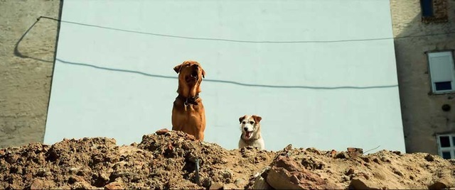 『ホワイト・ゴッド　少女と犬の狂詩曲』　2014（C）Proton Cinema, Pola Pandora, Chimney