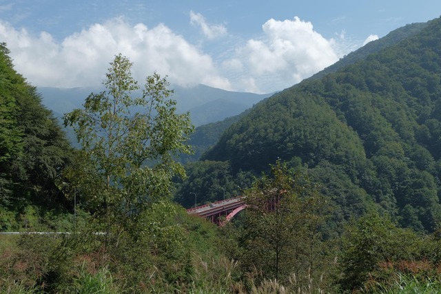 奥秩父山系への登山道付近から滝川渓谷を一望。標高約1000m。