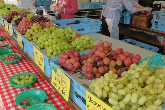 収穫後間もないぶどうのみずみずしさは果物屋では決して味わえない風味。