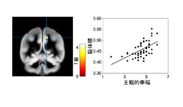 脳体積と主観的幸福の散布図