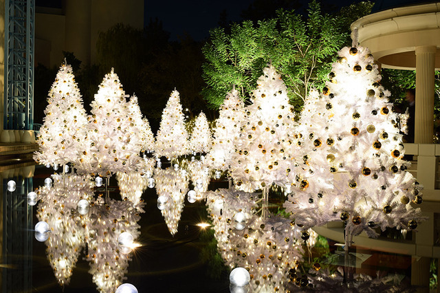 庭園「リリーポンド・ガーデン」／イクスピアリ・クリスマスタウン